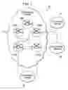 Fig. 02 - Transitioning between communication protocols between networks