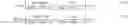 Fig. 15 - Method and apparatus for adjusting stereoscopic image parallax