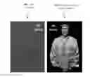 Fig. 01 - VISUAL COGNITION SYSTEM