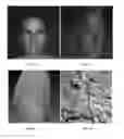 Fig. 08 - VISUAL COGNITION SYSTEM