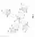 Fig. 02 - Automatic multiple depth cameras synchronization using time sharing