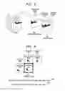 Fig. 06 - Video encoding method and video decoding method