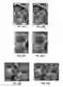 Fig. 24 - ANAMORPHIC STRETCH IMAGE COMPRESSION