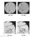 Fig. 25 - ANAMORPHIC STRETCH IMAGE COMPRESSION