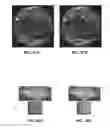 Fig. 26 - ANAMORPHIC STRETCH IMAGE COMPRESSION