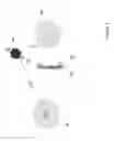 Fig. 04 - Method of analysing data collected in a cellular network and system thereof