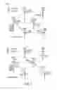 Fig. 07 - Interference measurements and management in directional mesh networks