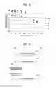 Fig. 08 - Method for performing measurement of objects and a device therefor