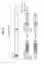 Fig. 09 - Method for detecting small cell on basis of discovery signal