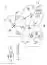 Fig. 02 - Target cell selection for multimedia broadcast multicast service continuity