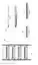 Fig. 05 - Portable basket colony for growing and transport and method of use