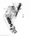 Fig. 26 - Portable basket colony for growing and transport and method of use