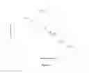 Fig. 04 - SHELF STABLE SPRAY DRIED PARTICLES