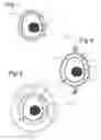 Fig. 02 - Apparatus for cooking an egg using microwave radiation