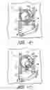 Fig. 07 - MEDICAL GARMENT