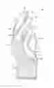 Fig. 01 - Glove having durable ultra-thin polymeric coating