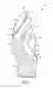 Fig. 02 - Glove having durable ultra-thin polymeric coating