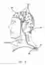 Fig. 06 - Balaclava hood system
