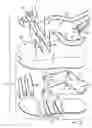 Fig. 06 - Article of footwear with interconnected tensile strands