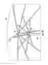 Fig. 05 - High capacity solar charging umbrella