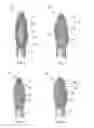 Fig. 06 - Flocked applicator