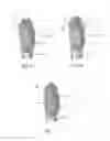 Fig. 07 - Flocked applicator