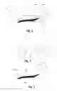 Fig. 02 - EYELINER STENCIL AND EYELINER APPLICATION METHOD THEREFOR