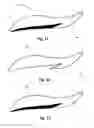 Fig. 05 - EYELINER STENCIL AND EYELINER APPLICATION METHOD THEREFOR