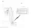 Fig. 02 - APPARATUS FOR CONTINUOUSLY AND AUTOMATICALLY MEASURING PULSE WAVE AND METHOD FOR MEASURING BLOOD PRESSURE
