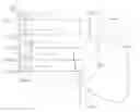 Fig. 01 - Apparatus and method for catheter navigation and tip location