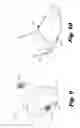 Fig. 06 - Baby foot strap