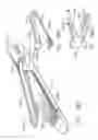 Fig. 221 - Staple cartridge comprising staples positioned within a compressible portion thereof