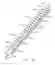 Fig. 60 - Staple cartridge comprising staples positioned within a compressible portion thereof