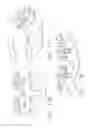 Fig. 92 - Staple cartridge comprising staples positioned within a compressible portion thereof