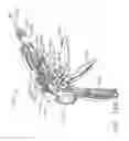 Fig. 99 - Staple cartridge comprising staples positioned within a compressible portion thereof