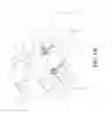 Fig. 37 - Method and apparatus for spondylolysis repair