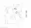 Fig. 44 - Method and apparatus for spondylolysis repair