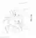 Fig. 50 - Method and apparatus for spondylolysis repair