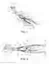 Fig. 02 - Bone reduction forceps and plate holding forceps