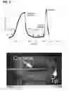 Fig. 22 - Energy delivery systems and uses thereof