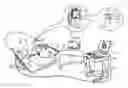 Fig. 01 - Assistive manual zeroing visualization