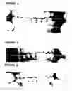 Fig. 04 - Dental products and procedures