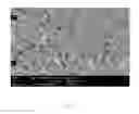 Fig. 05 - Blank for dental purposes