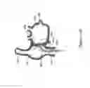 Fig. 20 - Intracardiac cage and method of delivering same