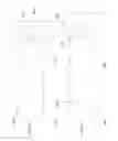 Fig. 08 - Photodynamic articular joint implants and methods of use