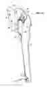 Fig. 07 - Knee orthosis for support of a knee joint