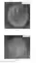 Fig. 02 - HAIR CONDITIONING COMPOSITION COMPRISING AMIDOAMINE CATIONIC SURFACTANT AND DEPOSITION POLYMER AND HAVING LOWER PH