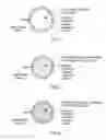 Fig. 02 - Oral pharmaceutical composition
