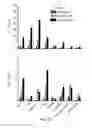 Fig. 07 - Oral pharmaceutical composition