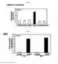 Fig. 03 - Composition for inducing differentiation into beige and brown adipocytes and method of inducing the same